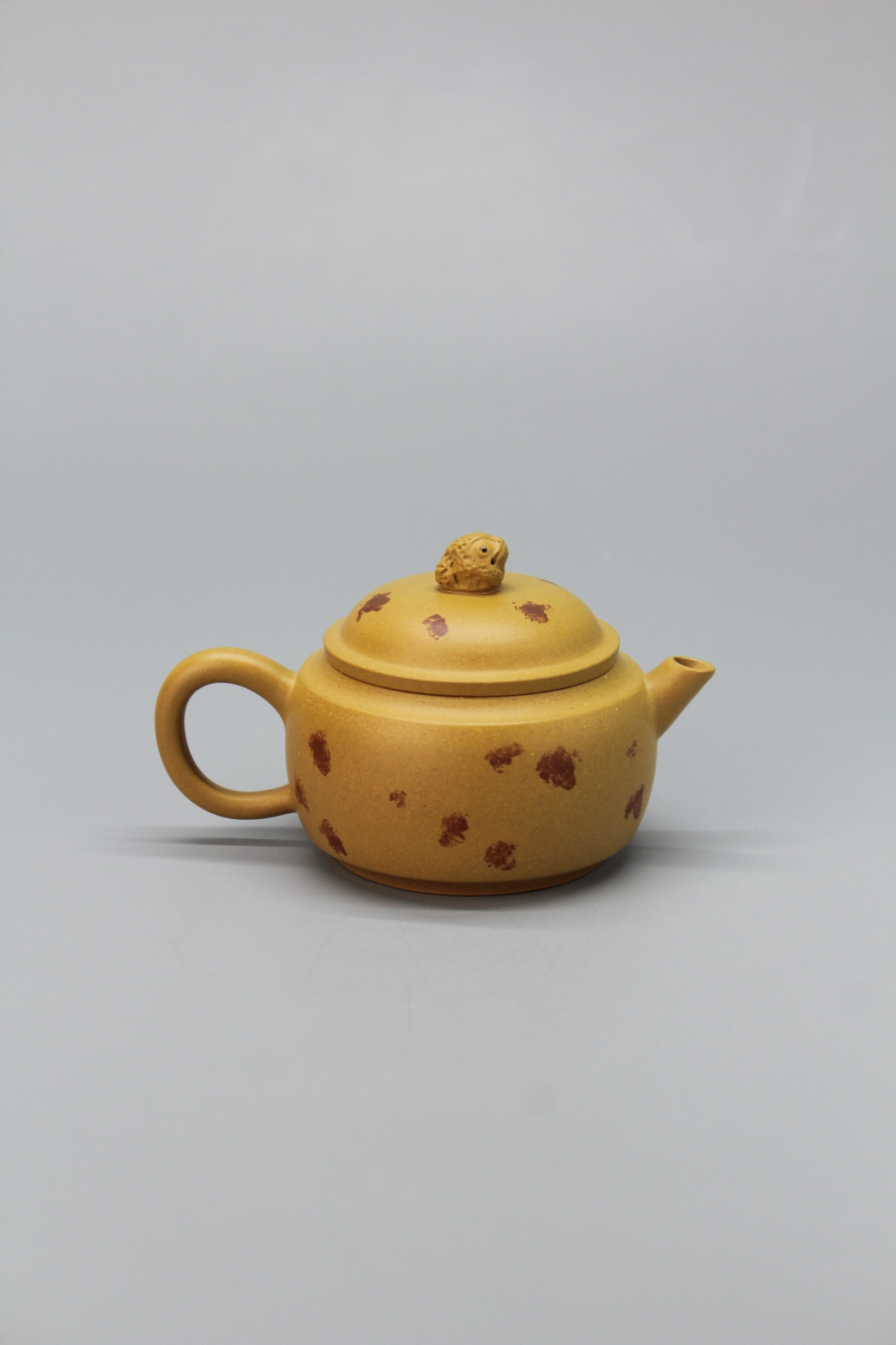 A cute small teapot for one back