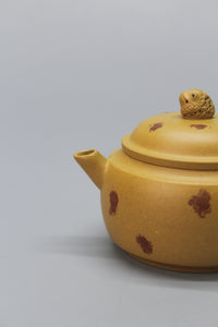 A cute small teapot for one mouth