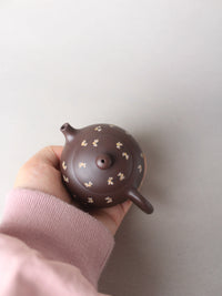 top view of small zisha teapot named xishi