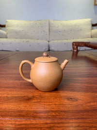 Handmade pottery teapot snail teapot fully handmade back