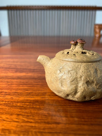 the spout of the handmade yixing teapot named gong chun