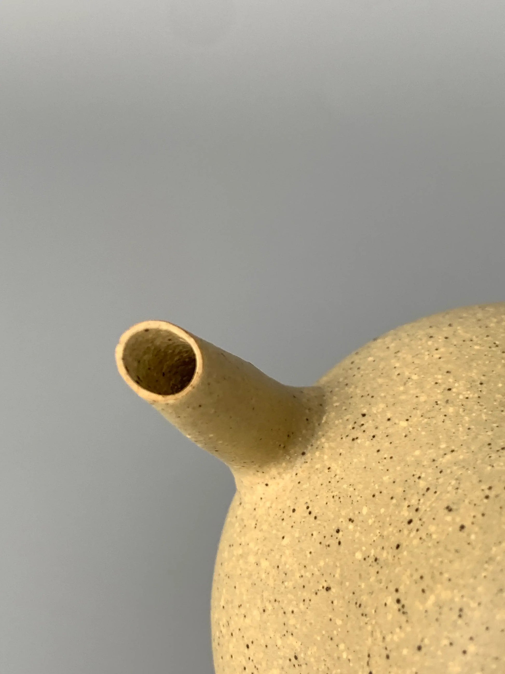 This is a close-up photo of the spout of a Yixing teapot