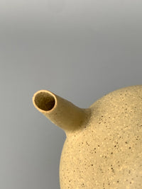 This is a close-up photo of the spout of a Yixing teapot