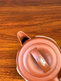 Looking down at the lid and spout of the teapot.