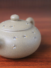 the teapot body of the small yixing zisha teapot
