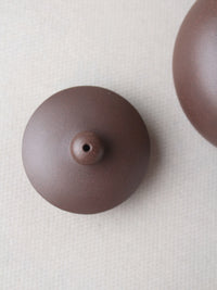the lid of the yixing zisha teapot xishi