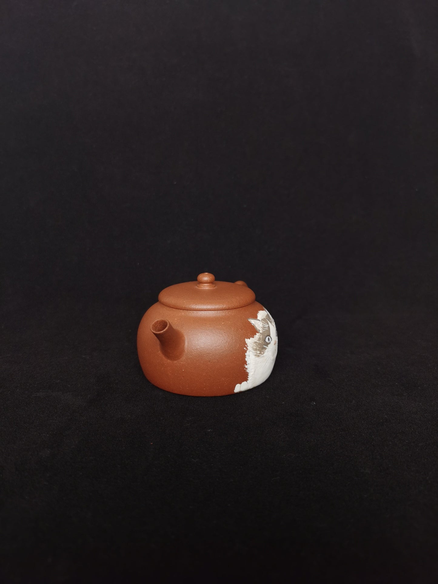 Yixing teapot cat 80ml authentic yixing hong ni clay half handcrafted - SiYuTao Teapot