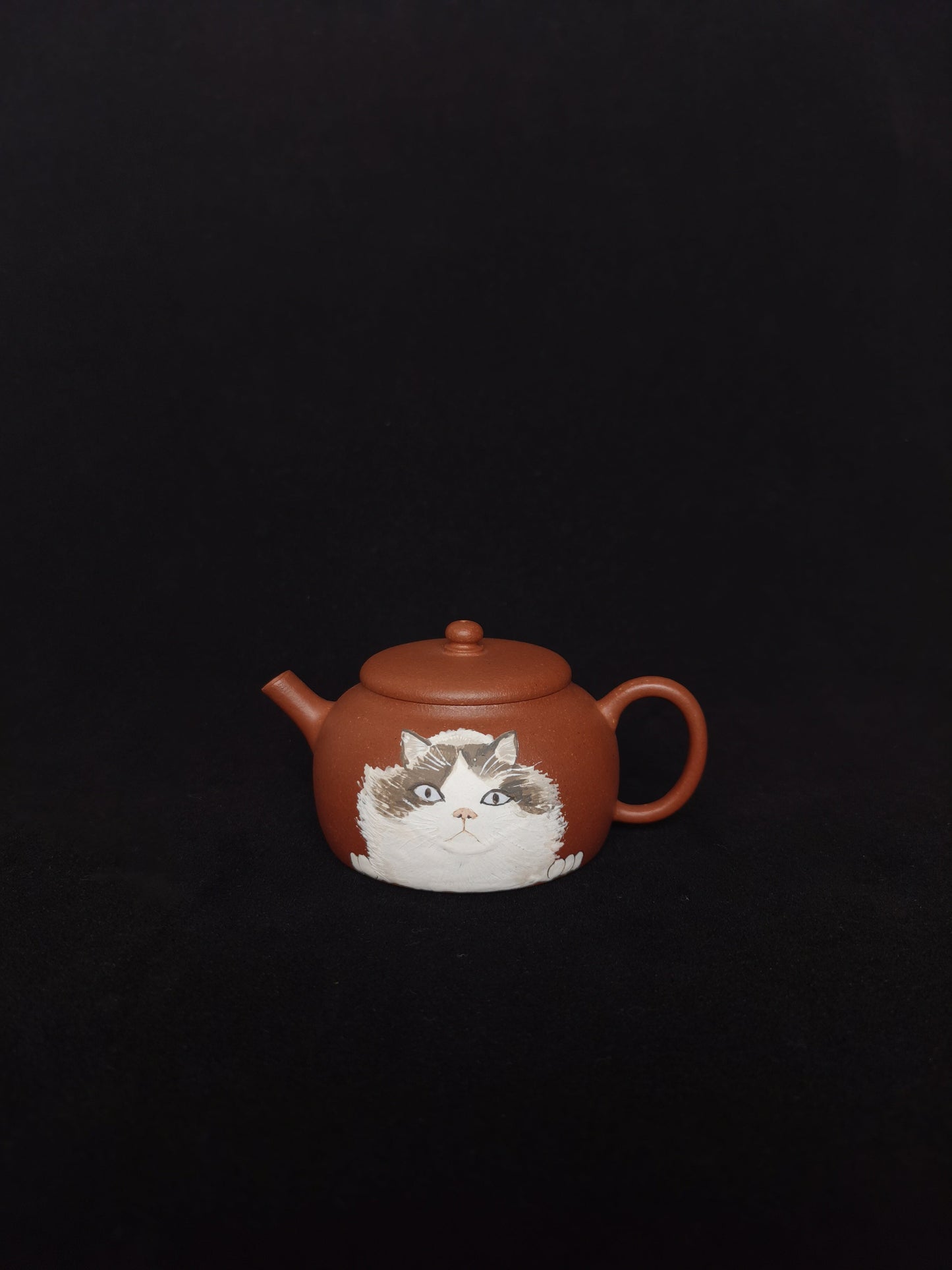 Yixing teapot cat 80ml authentic yixing hong ni clay half handcrafted - SiYuTao Teapot