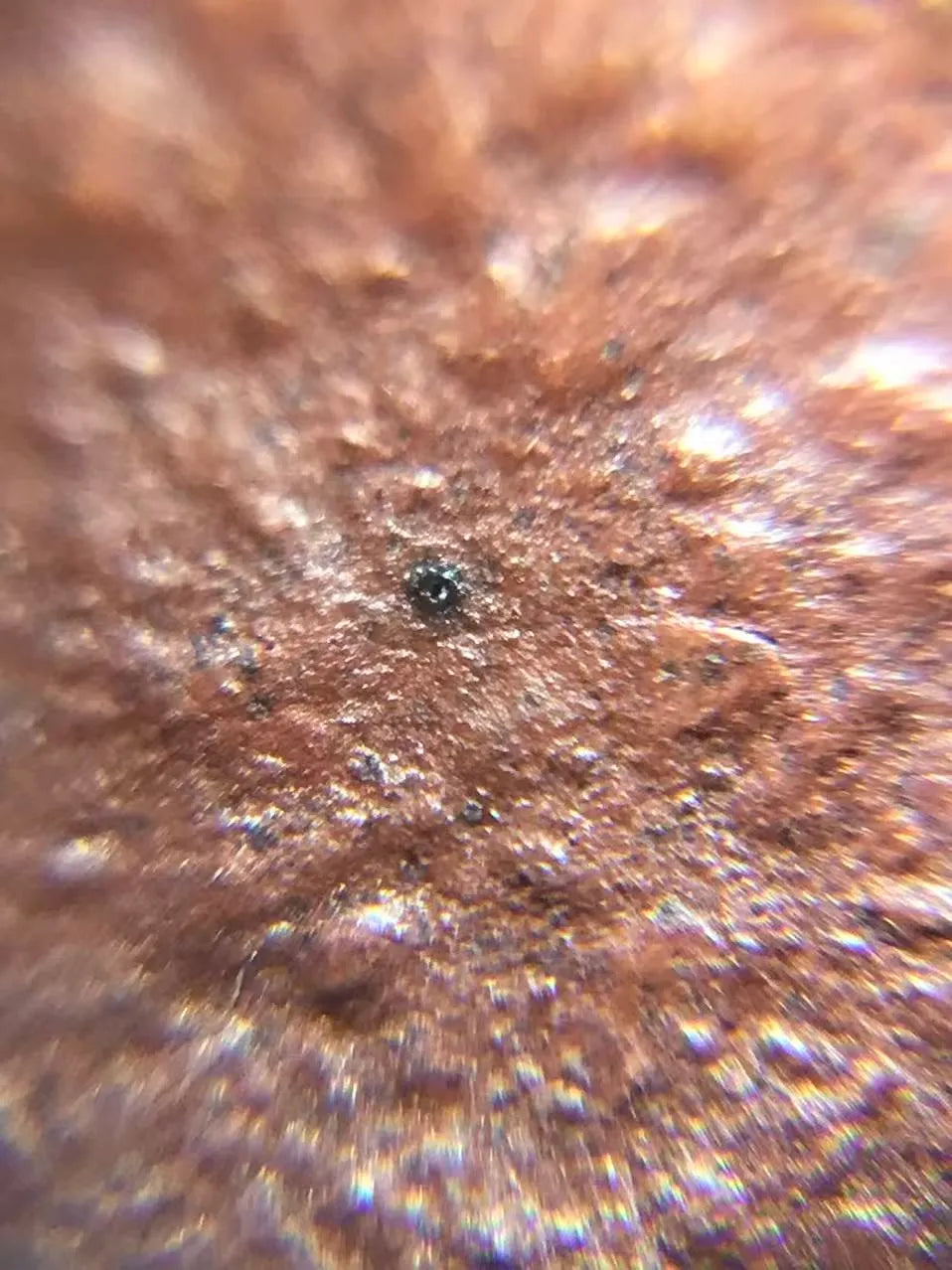 Close-up photo of the teapot’s raw material: high-quality zisha zhusha ni