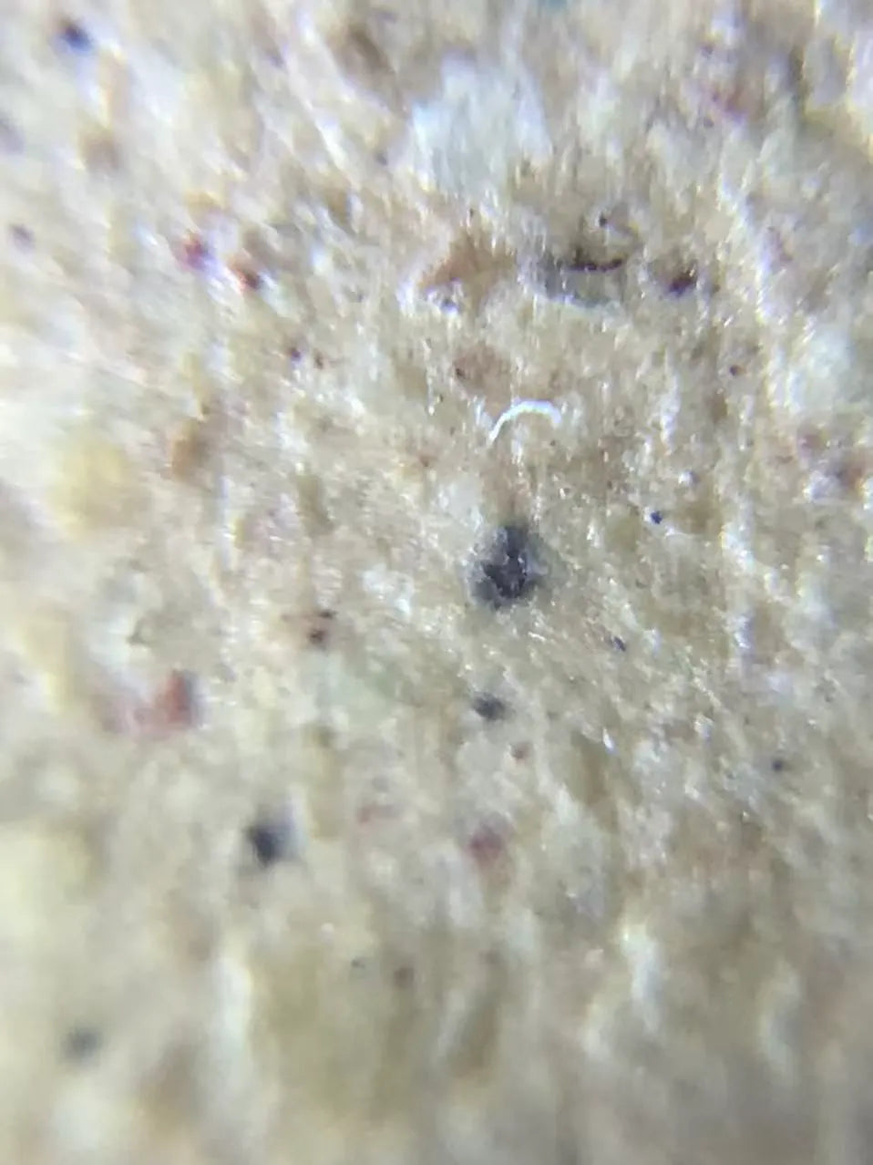 Close-up of the high-quality Yixing duan ni clay used for the teapot