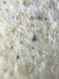 Close-up of the high-quality Yixing duan ni clay used for the teapot