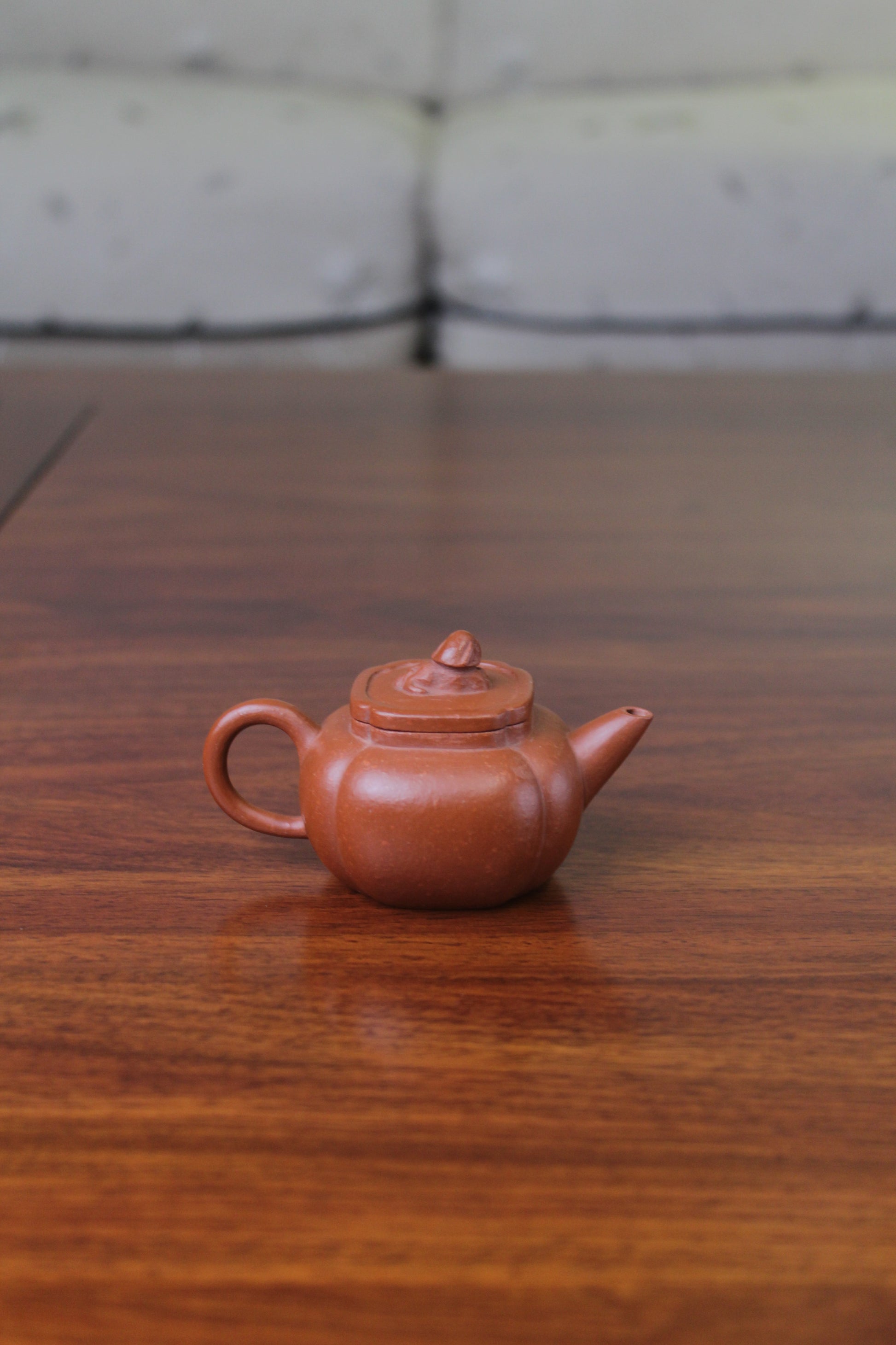 Back view of yixing teapot zhu ni shi qiu