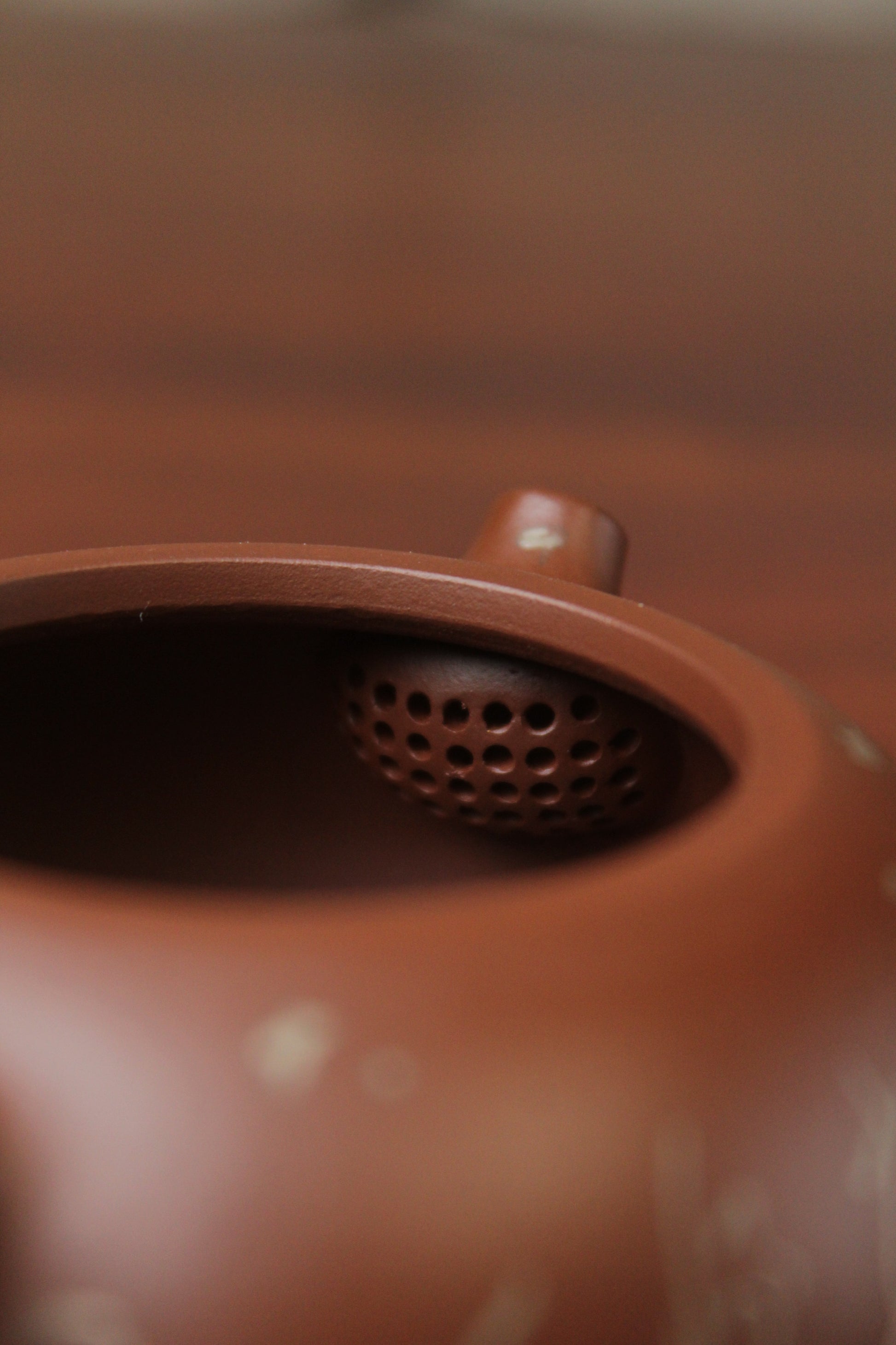 filter of the yixing teapot on the table