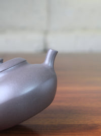 Spout of the yixing teapot handmade named he huan