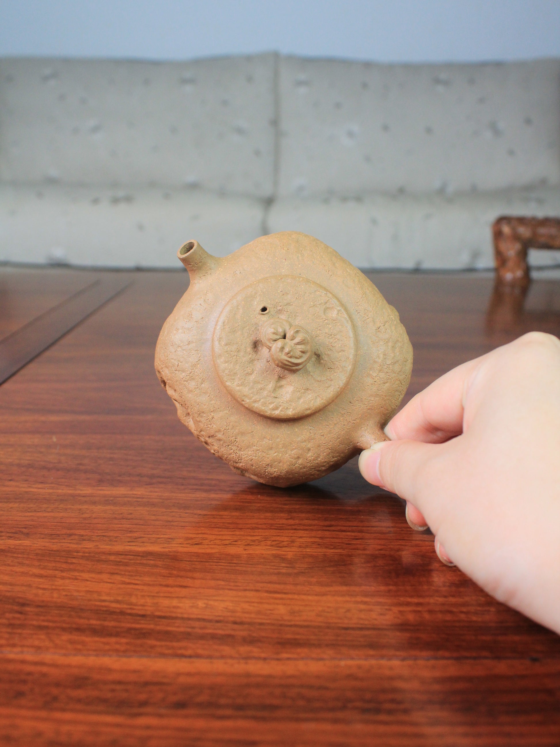 zi sha hu gong chun top view