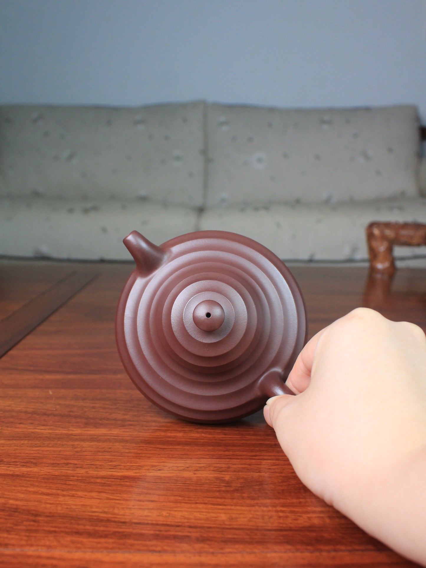top view of the zi sha hu