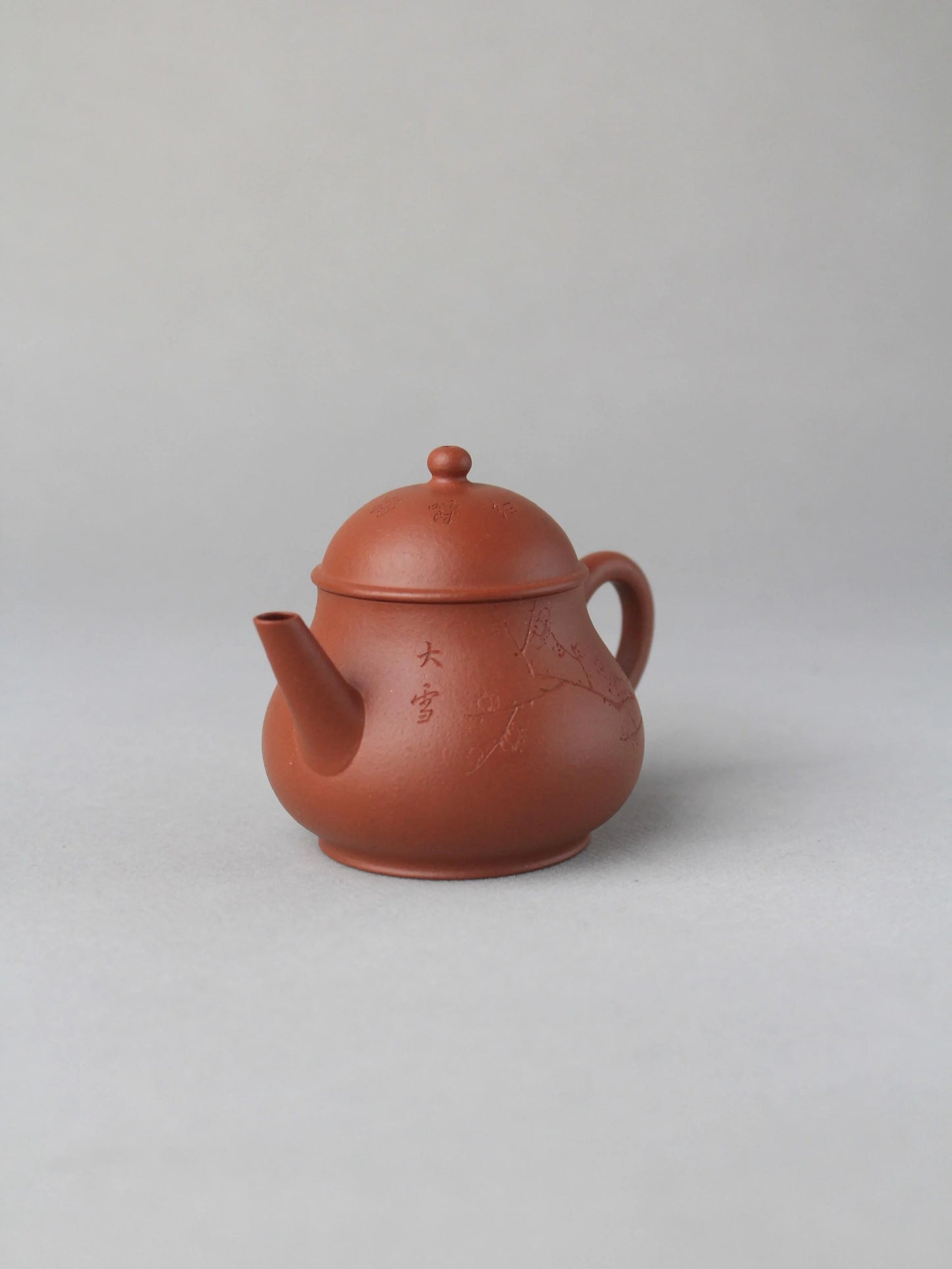 zisha teapot named pan hu on the table - right view