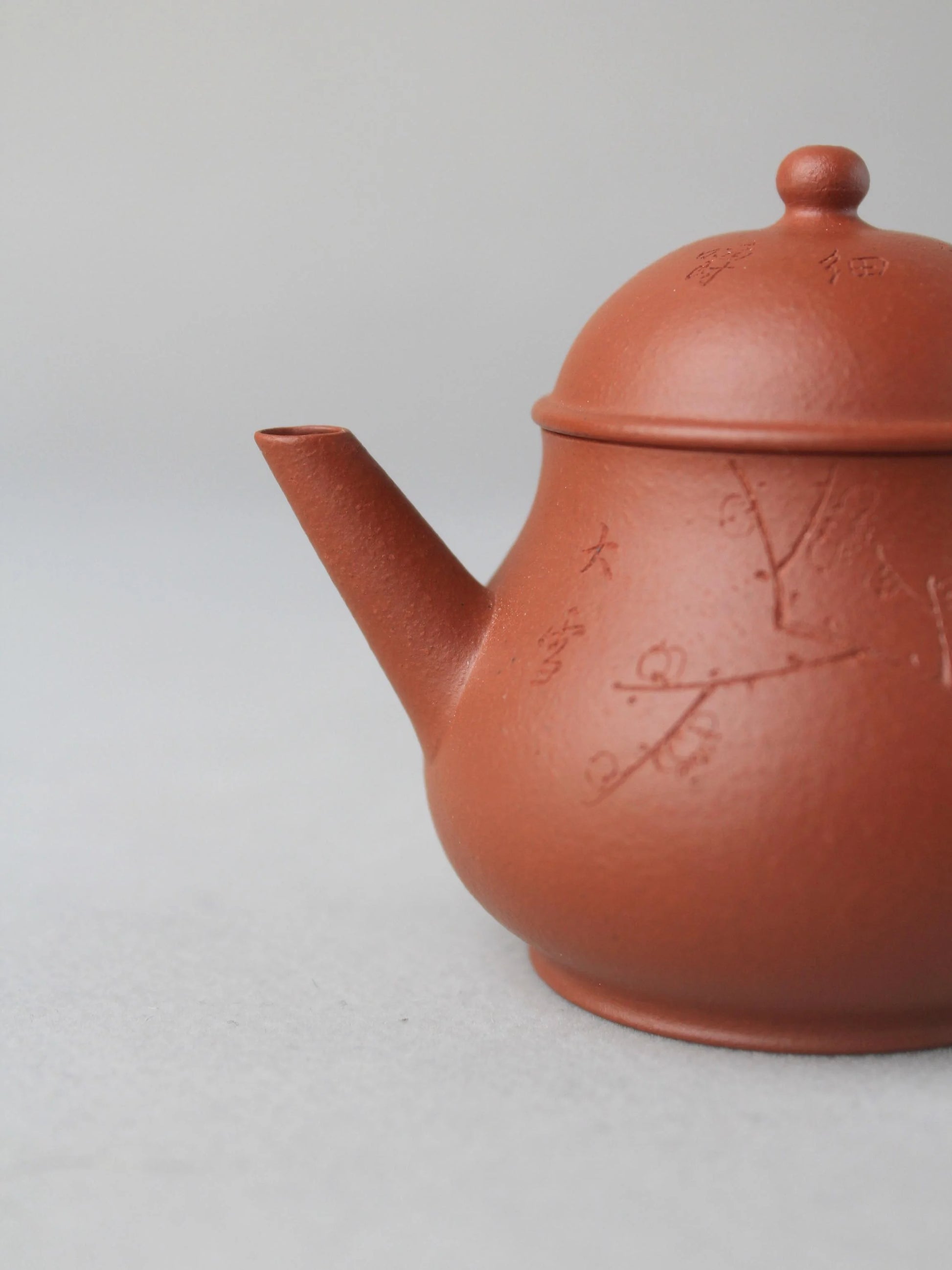 the spout of zisha teapot named pan hu