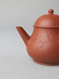 the spout of zisha teapot named pan hu