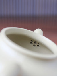 filter of the Benshan Lüni zisha teapot named lian zi