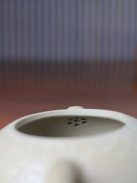the filter of the zisha teapot