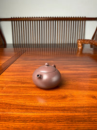 the right view of the zisha teapot xishi