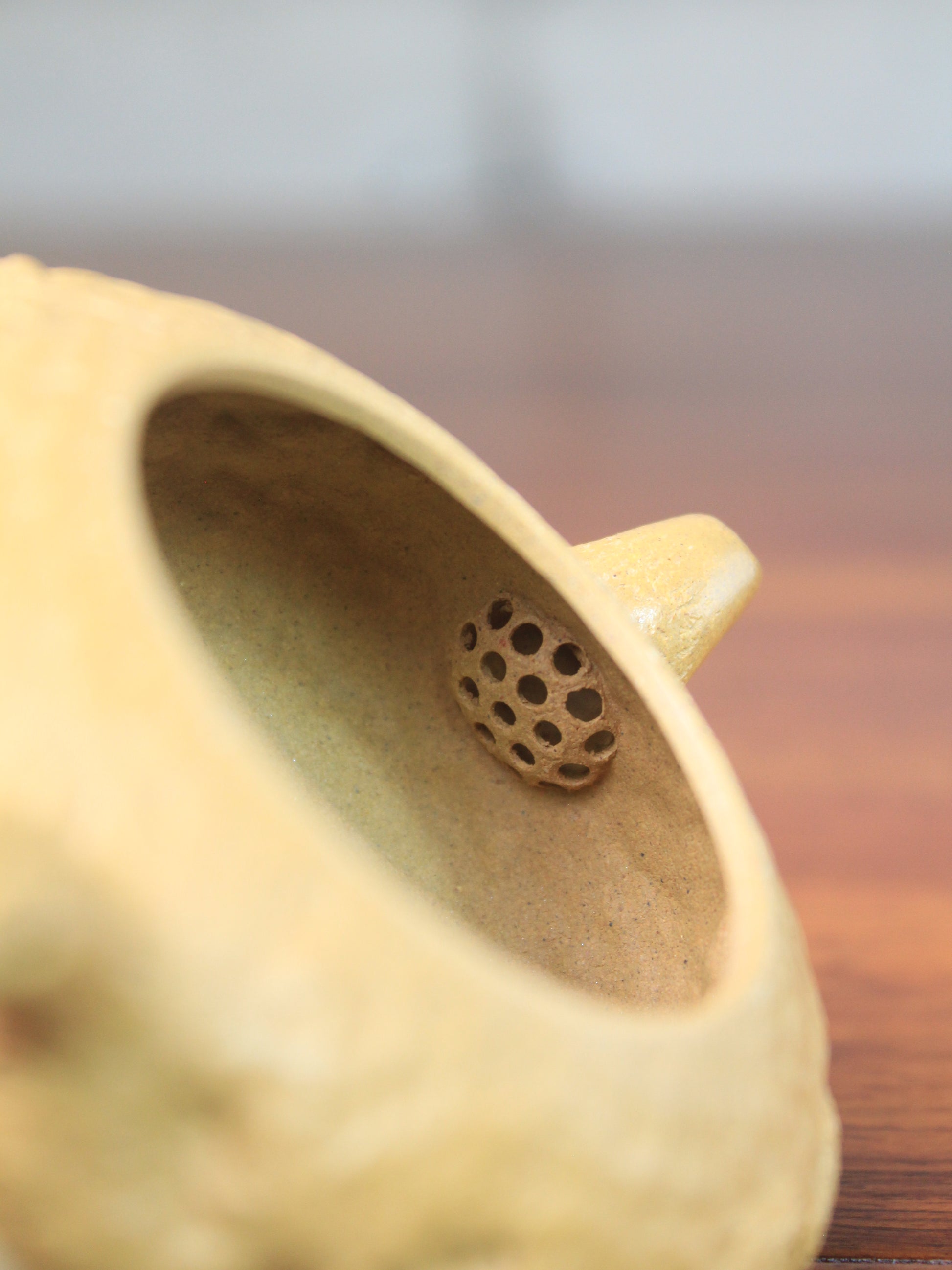 Filter of the Dragon zisha teapot